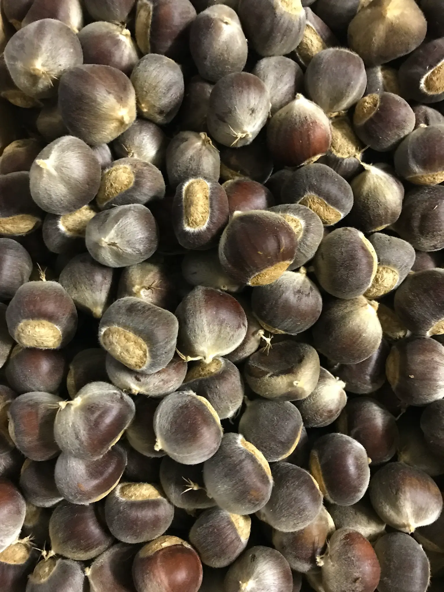 Chestnuts