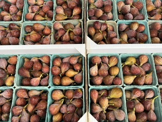 Figs
