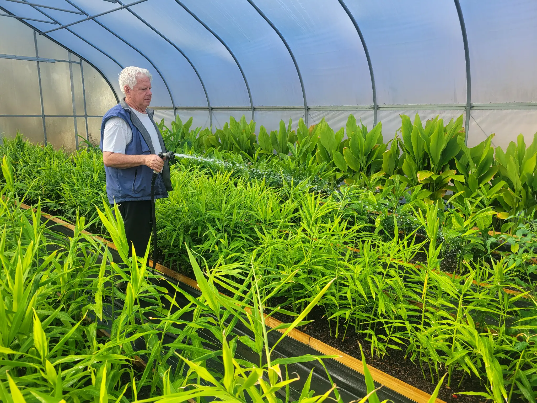 Tending the Greenhouse